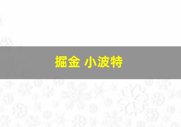 掘金 小波特